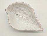 Keramikschalen in Form einer Muschel bzw. eines Seestern, Material: Keramik, Farbe: weiß oder mint, Maße: ca. 16 x 11 cm, ideal für den Einsatz im Badezimmer als Ringablage, für Badekugeln, Probepackungen, Zahnseide, Rasierer, Ohrentupfer, Pads u.a.m.  - Muschel weiß