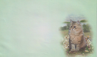 PBS Briefpapier Katze