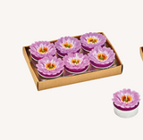 Wurm  Teelicht-Set "Gerbera"  6-teilig