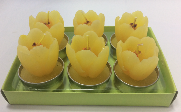SIGRO Teelicht-Set "Tulpen"  gelb  6teilig